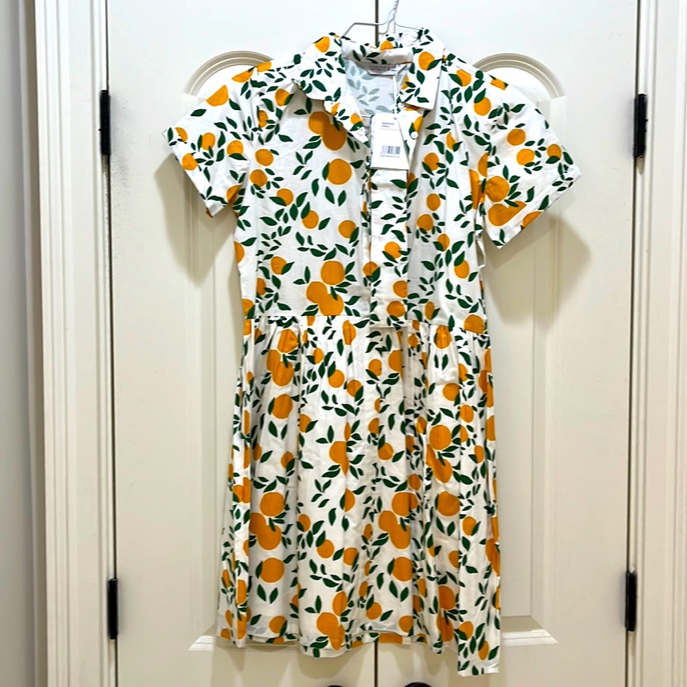 Lemon print belted shirt dress size S